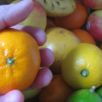 Groente en fruit door de ogen van kinderen