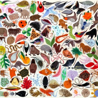 Charley Harper