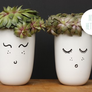 Happy Plants – zo eenvoudig is tekenen met een porselein stift