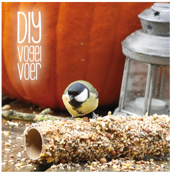 Betere Zelf vogelvoer maken | MoodKids DT-04