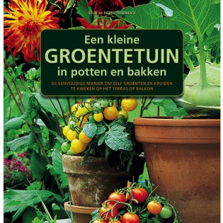 Een kleine groentetuin in potten en bakken