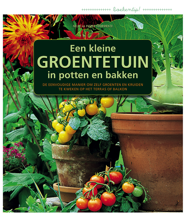 Een groentetuin in potten en bakken MoodKids