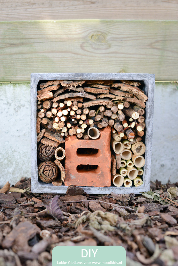 Wil je zelf een insectenhotel maken? Volg de stap voor stap uitleg en bouw samen met je kind een droomhotel voor leuke kriebelbeestjes in je tuin.