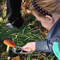 10 x naar buiten in de Herfst