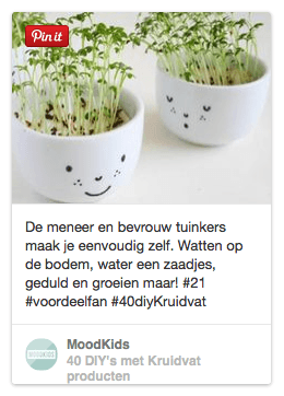 diy kruidvat waterkers watten diy