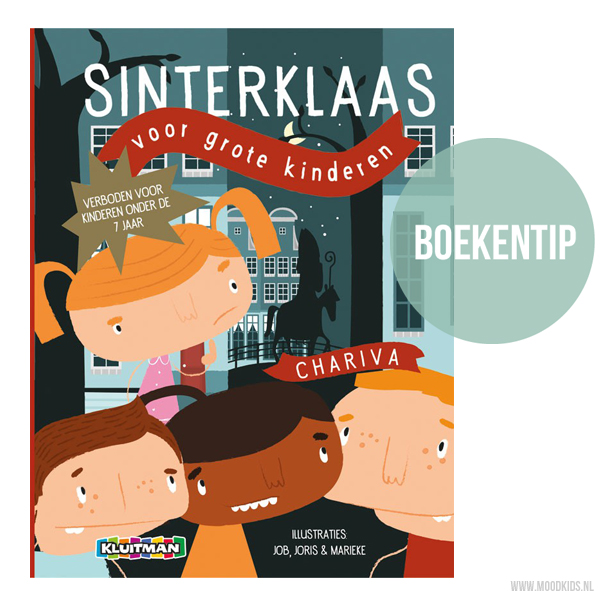 boekentip sinterklaas voor grote kinderen, sinterklaas geheim