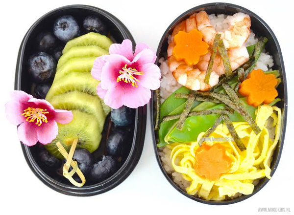 Ter ere van meisjesdag in Japan (3 maart) maakte webshop Roppongi deze prachtige DutchBento met een sushi salade in je meisjesdag lunchtrommel
