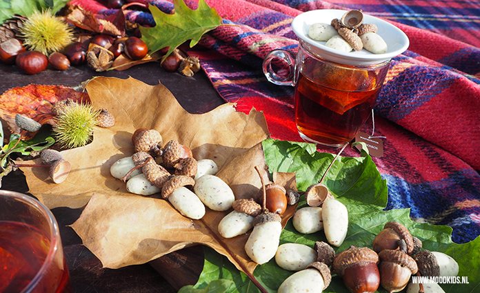 Herfst vraagt natuurlijk om herfstkoekjes. Maak van deeg eikelkoekjes en pimp ze met echte eikelhoedjes. Leuk als traktatie of voor een herfst hightea. Het recept voor deze koekjes vind je hier.