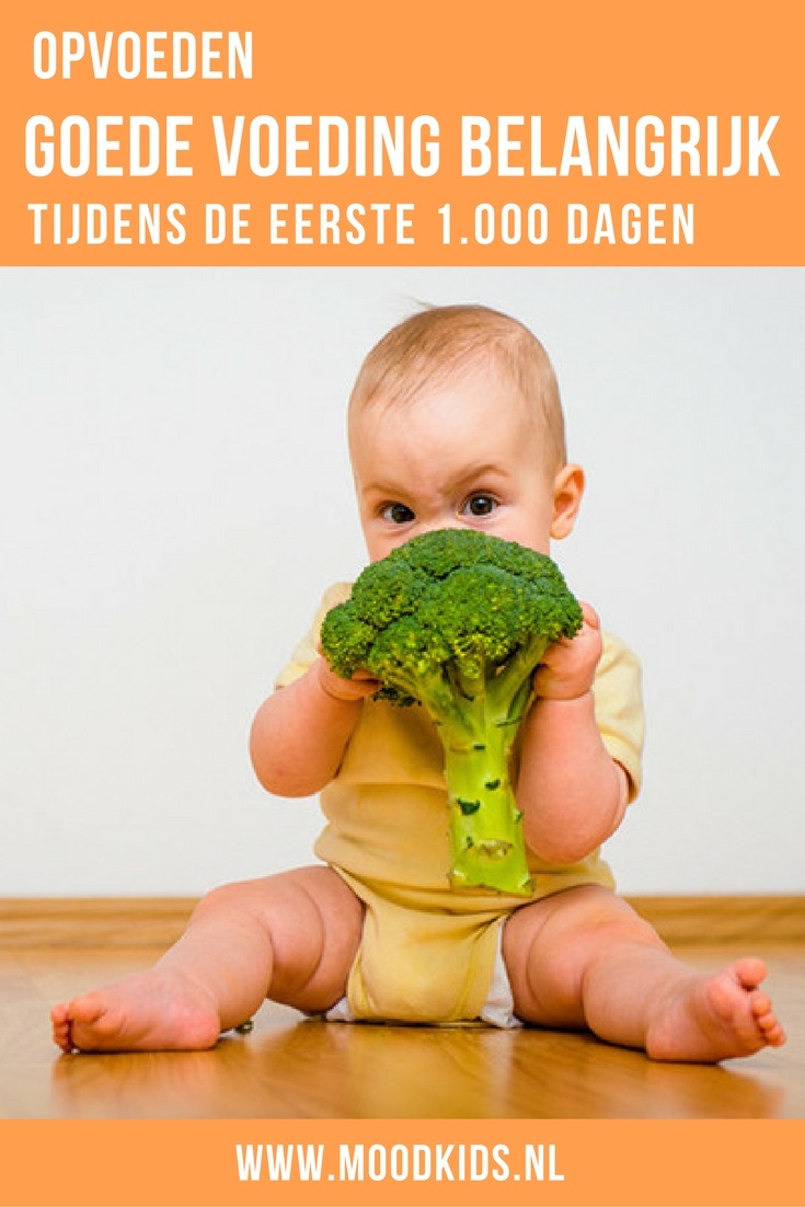 De eerste 1000 dagen van je kind zijn belangrijk voor de ontwikkeling en gezondheid. Want dan zijn de veranderingen het grootst. Goede voeding is belangrijk! Lees hier meer over welke voedingsstoffen met name belangrijk zijn.