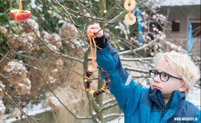 Nu het weer kouder is, is het leuk om samen met je kind wat te maken voor de vogels. Dit keer hebben we wat ideetjes voor vogelvoer maken met fruit.