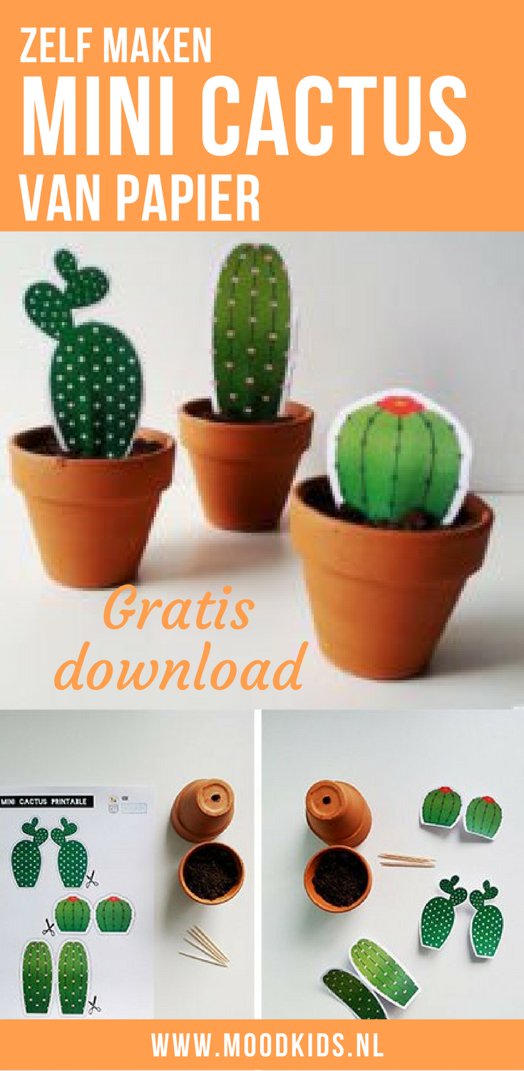 Knutselen maak zelf deze leuke mini cactussen van papier. Download de gratis printable