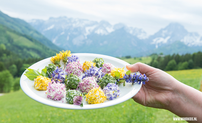 In Oostenrijk leerde ik dit receptje. Niet ingewikkeld, maar voor mij wel nieuw: koken met kruiden uit de weide. Roomkaas met kruiden en bloemen is echt heerlijk. Je vindt het recept hier.