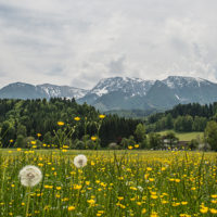 Ooit gedacht aan een zomervakantie in Oostenrijk?